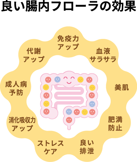 良い腸内フローラ