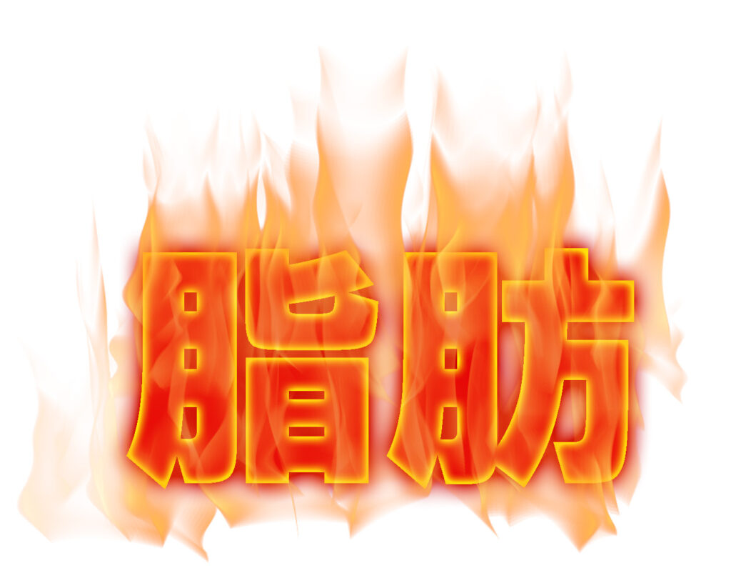 脂肪燃焼